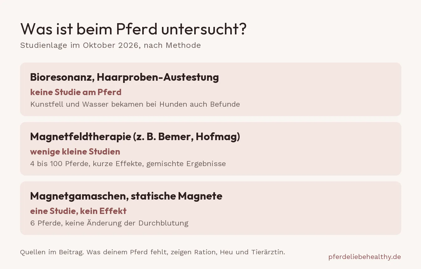 Übersicht zur Studienlage beim Pferd: Bioresonanz ohne Studie am Pferd, Magnetfeldtherapie mit wenigen kleinen Studien und gemischten Ergebnissen, statische Magnete mit einer Studie ohne Effekt.