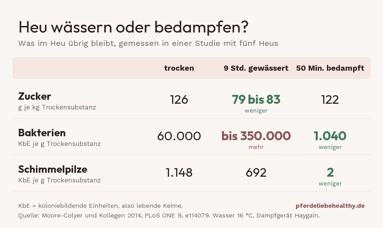 Tabelle mit Messwerten aus einer Studie: Zucker, Bakterien und Schimmelpilze in trockenem, gewässertem und bedampftem Heu.