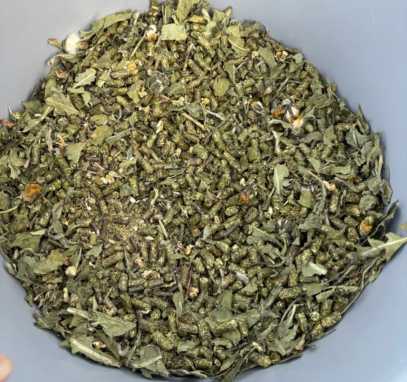 Getrocknete Kräuter mit Blättern und Löwenzahnblüten, gemischt mit grünen Pellets, in einer hellgrauen Futterschüssel.