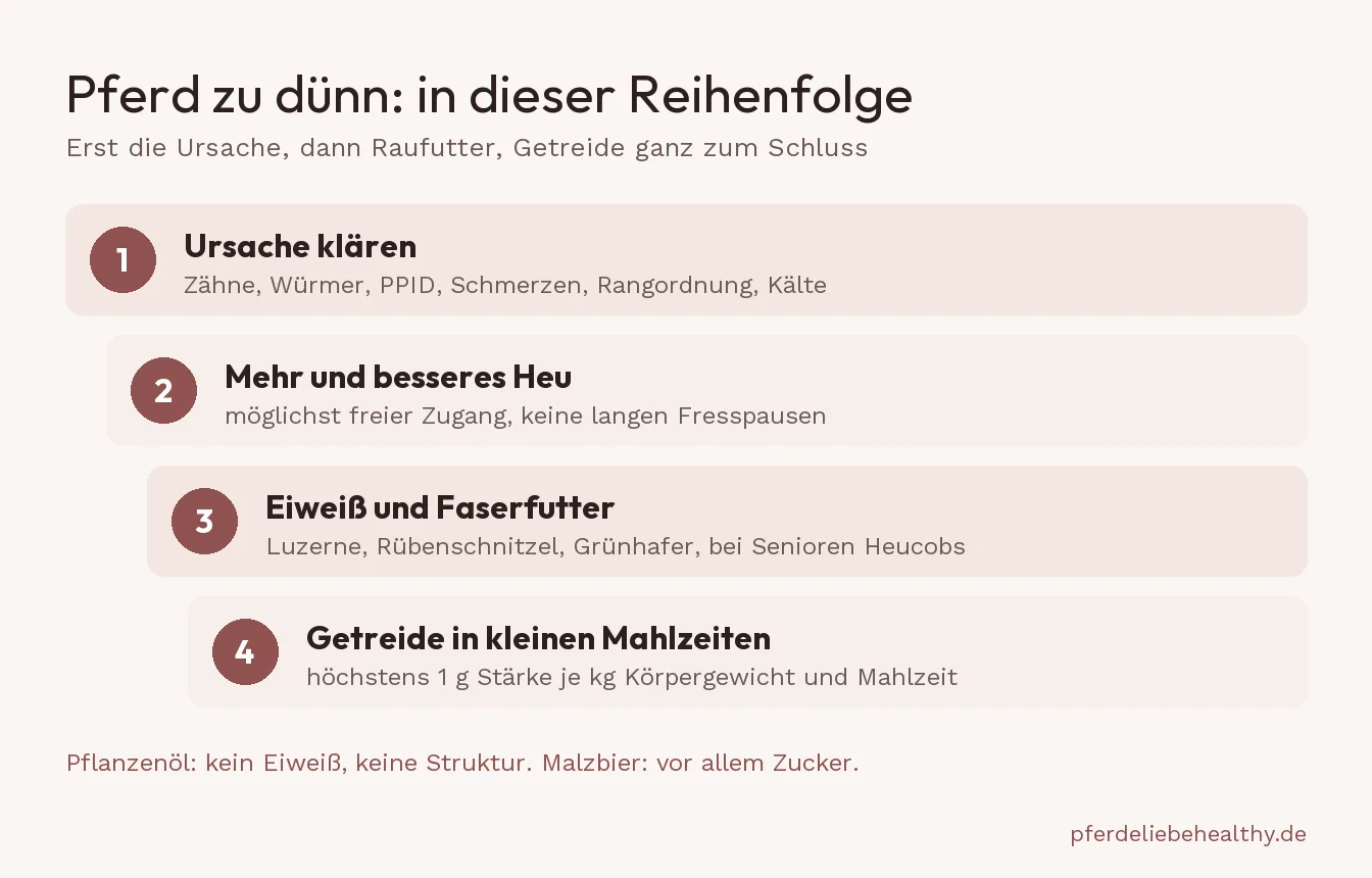 Reihenfolge beim Zunehmen: erst die Ursache klären, dann mehr und besseres Raufutter, dann Eiweiß und Faserfutter, zuletzt Getreide in kleinen Mahlzeiten.