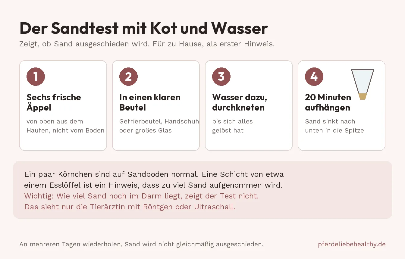 Grafik zum Sandtest: sechs frische Äppel in einen durchsichtigen Beutel, Wasser dazu, durchkneten, aufhängen, nach 20 Minuten liegt Sand unten in der Spitze.