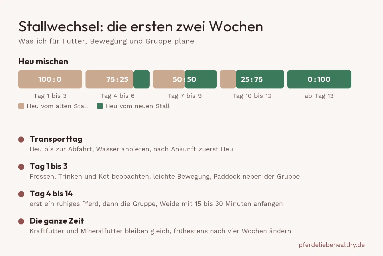 Plan für die ersten zwei Wochen im neuen Stall: Transporttag, die ersten drei Tage, Heu mischen bis Tag 14 und die Eingliederung in die Gruppe.