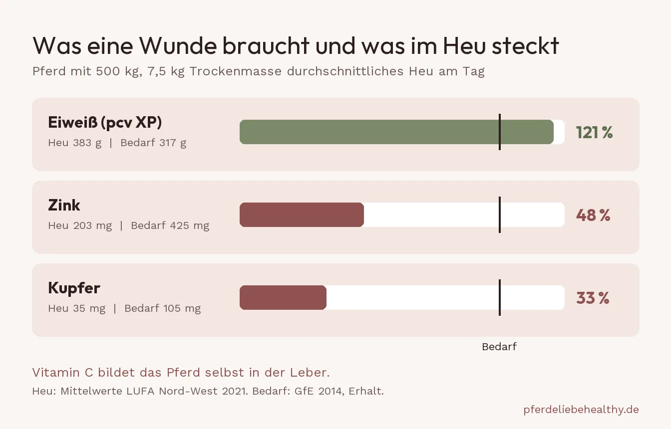 Balkengrafik für ein Pferd mit 500 kg: 7,5 kg durchschnittliches Heu decken 121 Prozent des Eiweißbedarfs, aber nur 48 Prozent beim Zink und 33 Prozent beim Kupfer.
