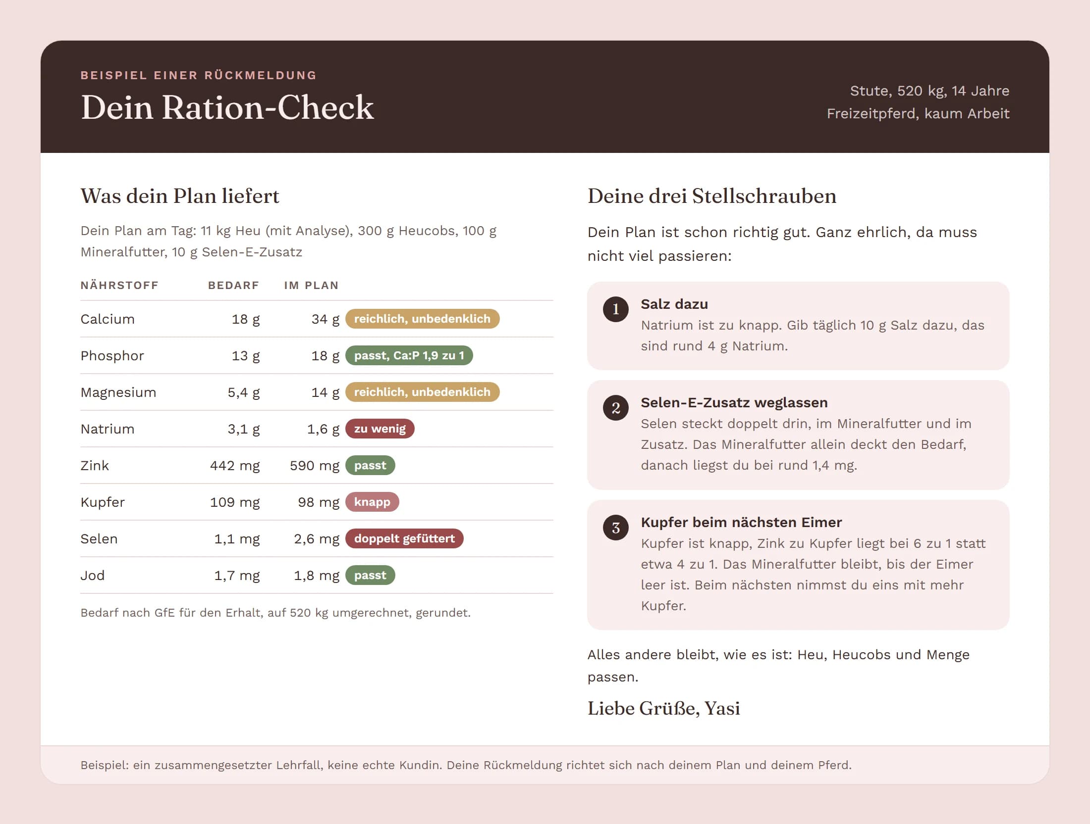 Beispiel einer Rückmeldung zum Ration-Check mit Tabelle und drei Stellschrauben